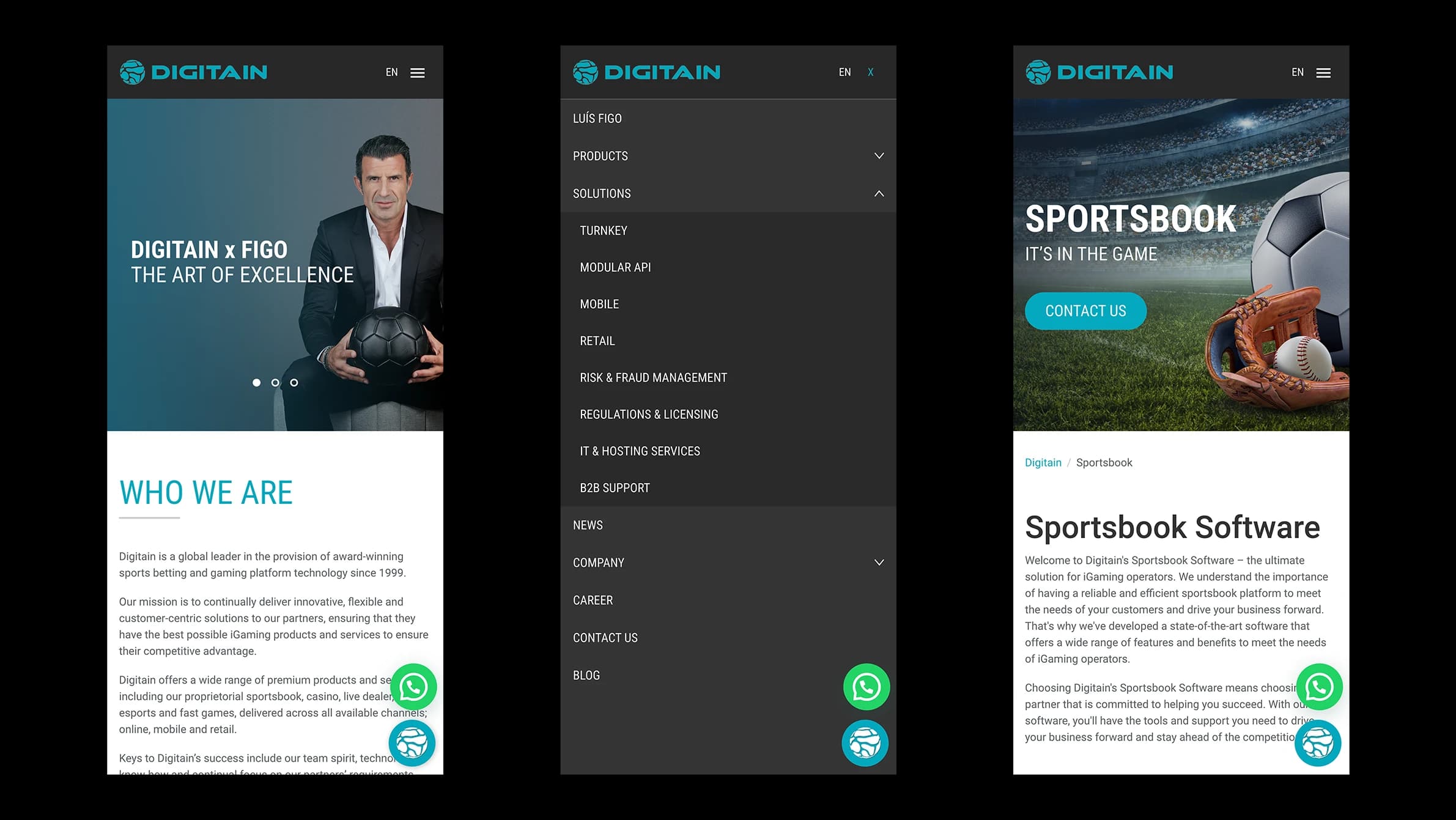 Screenshot of the Digitain project